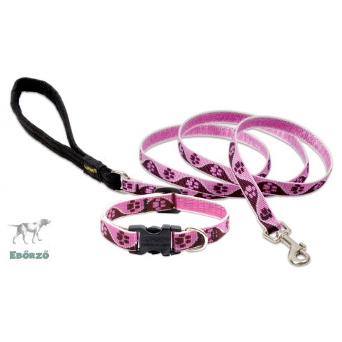 Lupine Original Designs Tickled Pink Padded Handle Leash 1,25 cm width 122 cm - For small dogs