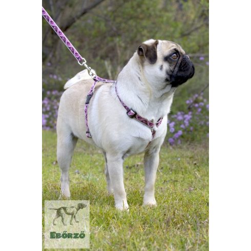 Lupine Original Collection Tickled Pink Roman Harness  1,25 cm width 23-35 cm -  For small dogs and puppies