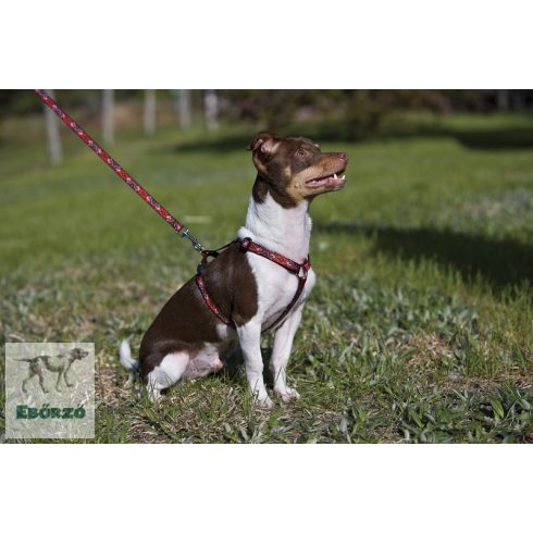 Lupine Original Designs Wild West Padded Handle Leash 1,25 cm width 122 cm - For small dogs