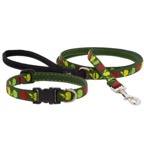 LUPINE Halsband (Apple Season 1,25 cm breit 21-30 cm)