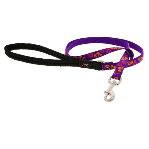 Lupine Microbatch Collection Aloha Padded Handle Leash 1,25 cm width 183 cm - For small dogs