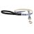 Lupine Microbatch Collection Fair Isle Padded Handle Leash 1,25 cm width 183 cm - For small dogs