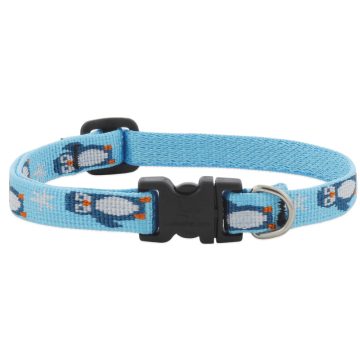   Lupine Original Collection Dapper Dog Adjustable Collar 1,25 cm width 16-22 cm -  For Small Dogs