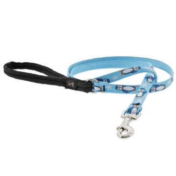   Lupine Microbatch Collection Sail Away Padded Handle Leash 1,25 cm width 122 cm - For small dogs