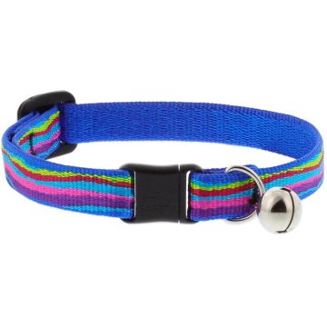   Lupine macska nyakörv (Ripple Creek 1,25 cm széles CAT csengővel 21-30 cm )