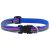Lupine Microbatch Collection Ripple Creek Adjustable Collar 1,25 cm width 21-30 cm -  For Small Dogs