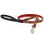 Lupine Microbatch Collection Wicked Padded Handle Leash 1,25 cm width 122 cm - For small dogs