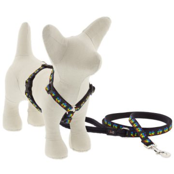   Lupine Original Collection Peace Paws Roman Harness  1,25 cm width 23-35 cm -  For small dogs and puppies