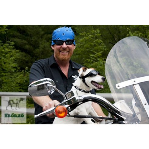 LUPINE Halsband (Lil' Bling 1,25 cm breit 21-30 cm)