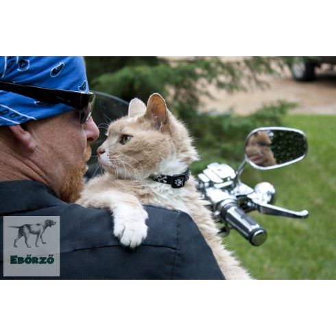 Lupine macska nyakörv (Lil' Bling 1,25 cm széles CAT 21-30 cm )