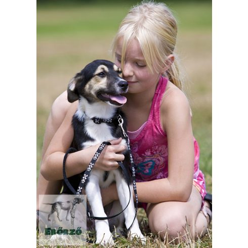 LUPINE póráz (Bling Bonz 1,25 cm széles 122 cm)