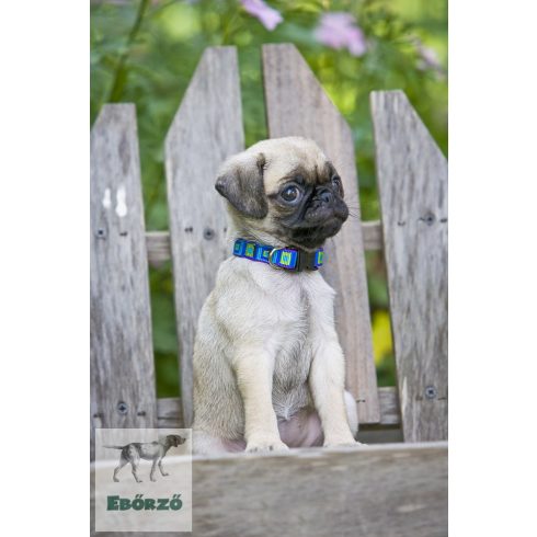 LUPINE nyakörv (Sea Glass 1,25 cm széles 21-30 cm)