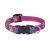 Lupine Original Collection Wing It Adjustable Collar 1,25 cm width 16-22 cm -  For Small Dogs