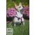 Lupine Original Collection Wing It Adjustable Collar 1,25 cm width 16-22 cm -  For Small Dogs
