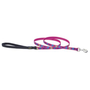   Lupine Original Designs Wing It Padded Handle Leash 1,25 cm width 122 cm - For small dogs
