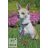   Lupine Original Designs Wing It Padded Handle Leash 1,25 cm width 183 cm - For small dogs