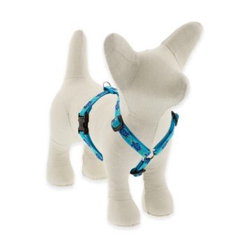   Lupine Original Collection Turtle Reef Roman Harness  1,25 cm width 23-35 cm -  For small dogs and puppies