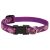 Lupine Original Collection Rose Garden Adjustable Collar 1,25 cm width 21-30 cm -  For Small Dogs