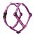Lupine Original Collection Rose Garden Roman Harness  1,25 cm width 23-35 cm -  For small dogs and puppies