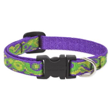   Lupine Original Collection Big Easyt Adjustable Collar 1,25 cm width 16-22 cm -  For Small Dogs