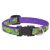Lupine Original Collection Big Easyt Adjustable Collar 1,25 cm width 16-22 cm -  For Small Dogs