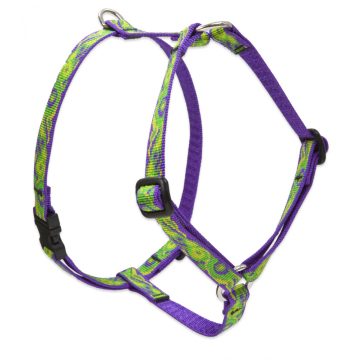   Lupine Original Collection Big Easy Roman Harness  1,25 cm width 23-35 cm -  For small dogs and puppies