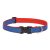 Lupine Club Collection Newport Blue Adjustable Collar 2,5 cm width 31-50 cm -  For Medium and Larger Dogs