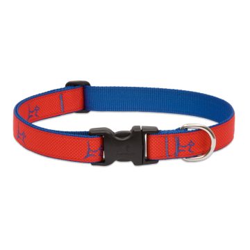   Lupine Club Collection Derby Red Adjustable Collar 2,5 cm width 31-50 cm -  For Medium and Larger Dogs