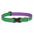 Lupine Club Collection Augusta Green Adjustable Collar 2,5 cm width 31-50 cm -  For Medium and Larger Dogs