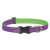 LUPINE Halsband (CLUB Hampton Purple 2,5 cm breit 31-50 cm)