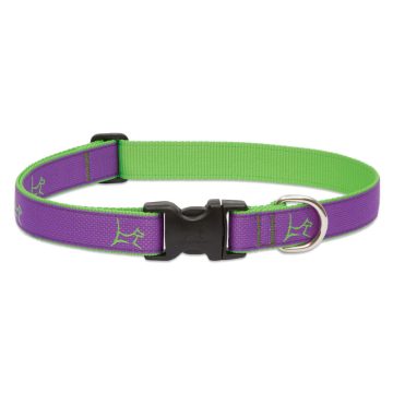 LUPINE Halsband (CLUB Hampton Purple 2,5 cm breit 41-71 cm)