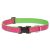 Lupine Club Collection Bermuda Pink Adjustable Collar 2,5 cm width 31-50 cm -  For Medium and Larger Dogs
