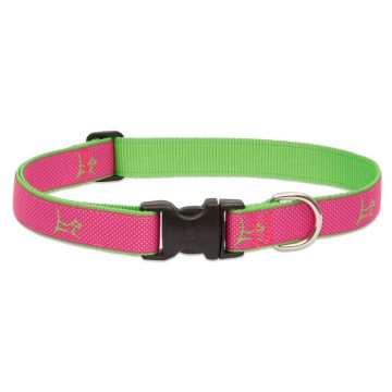   Lupine Club Collection Bermuda Pink Adjustable Collar 2,5 cm width 41-71 cm -  For Medium and Larger Dogs