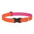 Lupine Club Collection Sunset Orange Adjustable Collar 2,5 cm width 31-50 cm -  For Medium and Larger Dogs