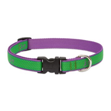   Lupine Club Collection Augusta Green Adjustable Collar 1,9 cm width 23-35 cm -  For the widest range of dog sizes