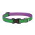 Lupine Club Collection Augusta Green Adjustable Collar 1,9 cm width 23-35 cm -  For the widest range of dog sizes