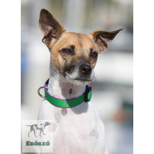 Lupine póráz (CLUB 1,9 cm széles Augusta Green 183 cm)