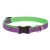 Lupine Club Collection Hampton Purple Adjustable Collar 1,9 cm width 23-35 cm -  For the widest range of dog sizes