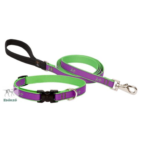 Lupine póráz (CLUB 1,9 cm széles Hampton Purple 183 cm)