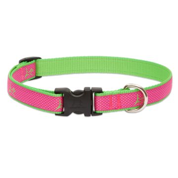   Lupine Club Collection Bermuda Pink Adjustable Collar 1,9 cm width 23-35 cm -  For the widest range of dog sizes