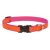 Lupine Club Collection Sunset Orange Adjustable Collar 1,9 cm width 23-35 cm -  For the widest range of dog sizes