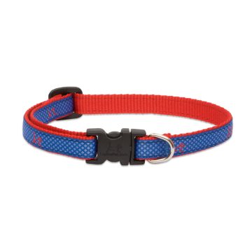   Lupine Club Collection Newport Blue Adjustable Collar 1,25 cm width 21-30 cm -  For Small Dogs