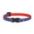 Lupine Club Collection Newport Blue Adjustable Collar 1,25 cm width 21-30 cm -  For Small Dogs