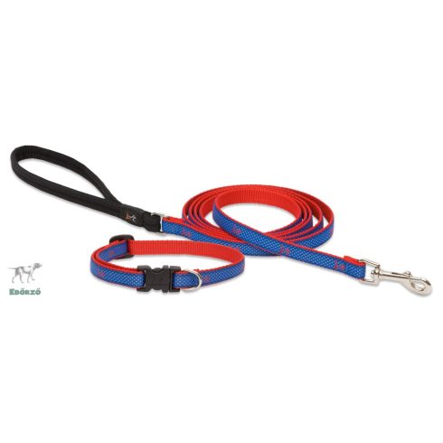 Lupine Club Collection Newport Blue Adjustable Collar 1,25 cm width 21-30 cm -  For Small Dogs