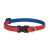 Lupine Club Collection Derby Red Adjustable Collar 1,25 cm width 21-30 cm -  For Small Dogs