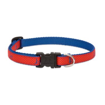   Lupine Club Collection Derby Red Adjustable Collar 1,25 cm width 26-40 cm -  For Small Dogs
