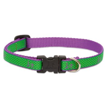   Lupine Club Collection Augusta Green Adjustable Collar 1,25 cm width 26-40 cm -  For Small Dogs