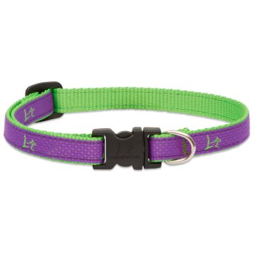   Lupine Club Collection Hampton Purple Adjustable Collar 1,25 cm width 21-30 cm -  For Small Dogs