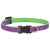Lupine Club Collection Hampton Purple Adjustable Collar 1,25 cm width 21-30 cm -  For Small Dogs