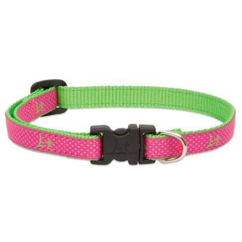 Lupine Club Collection Bermuda Pink Adjustable Collar 1,25 cm width 21-30 cm -  For Small Dogs